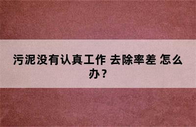 污泥没有认真工作 去除率差 怎么办？